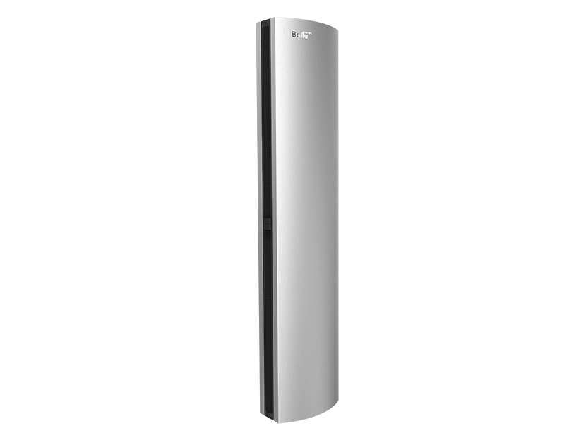 Завеса тепловая Ballu BHC-D22-T18-BS